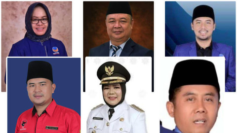 Bakal Calon Bupati Kabupaten Mesuji Pilkada 2024 | Foto : Istimewa