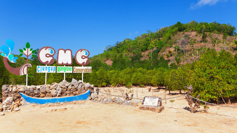 Clungup Mangrove Conservation. Foto: Denis Moskvinov/Shutterstock