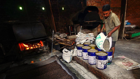 Pekerja usaha kopi olahan tradisional khas Sumatera Selatan yang sedang menuangkan biji kopi untuk kemudian dimasukkan ke dalam tungku pembakaran, Sabtu (8/6) Foto: ary priyanto/urban id