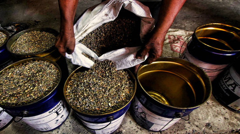 Biji kopi asal Semendo Sumatera Selatan yang diolah secara tradisional milik keluarga Jafar bin Rasyid, Sabtu (8/6) Foto: ary priyanto/urban id