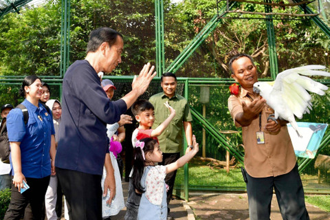 Momen wisata edukasi Presiden Jokowi dan Ibu Iriana beserta cucunya, Jan Ethes Srinarendra dan La Lembah Manah, di Taman Mini Indonesia Indah (TMII), Jakarta, Sabtu (8/6/2024). Foto: Rusman/Biro Pers Sekretariat Presiden