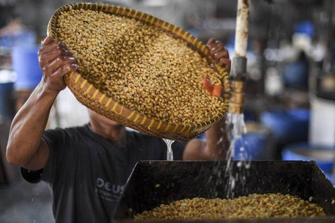 Pekerja mengolah kedelai dalam pembuatan tahu di industri rumahan di kawasan Duren Tiga, Mampang, Jakarta, Rabu (31/8/2022). Foto: M Risyal Hidayat/ANTARA FOTO