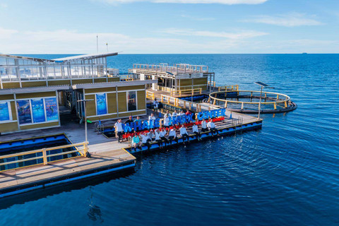 PT Pertamina International Shipping (PIS) mendukung keberlanjutan ekosistem laut, khususnya untuk konservasi hiu paus yang ada di area Taman Nasional Teluk Cendrawasih (TNTC), Kwatisore - Kabupaten Nabire, Papua Tengah. dok. PIS