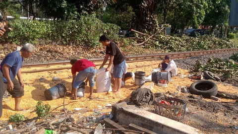 Kondisi muatan truk berupa jagung tumpah usai ditabrak KA Commuter Line Sindro, pada Senin (10/6/2024). Foto: Mili.id