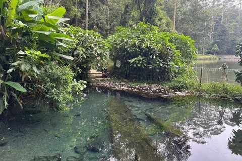 Satu dari tujuh mata air yang keluar dari Situ Cisantu untuk mengairi Sungai Citarum. Foto: Rubby Jovan/ANTARA