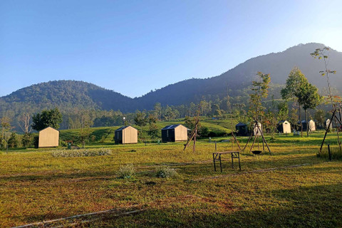 Pemandangan Bobocabin Pangalengan, Jawa Barat, Jumat (14/6/2024).    Foto: Giovanni/kumparan