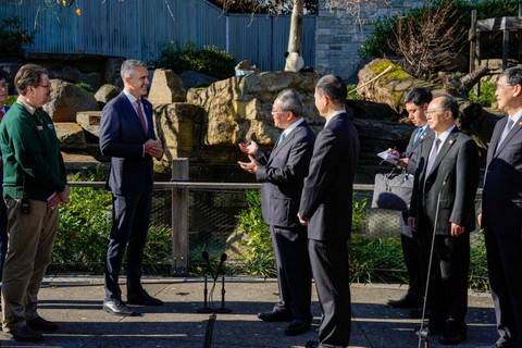 Perdana Menteri China Li Qiang bersama Perdana Menteri Australia Selatan Peter Malinauskas melihat Panda bernama Wang Wang di Kebun Binatang Adelaide di Adelaide, Australia, Minggu (16/6/2024). Foto: Asanka Ratnayake / POOL / AFP