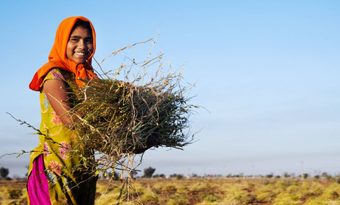 Ilustrasi dampak krisis iklim bagi perempuan. Foto: Rawpixel.com/Shutterstock