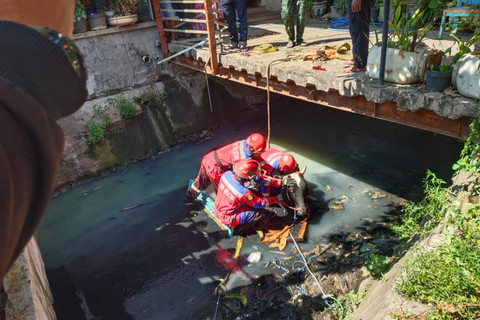Seekor sapi tercebur di Sungai Jalan Mejoyo II, Kecamatan Rungkut, Surabaya, Senin (17/6/2024). Foto: Dok. Command Center 112 Surabaya