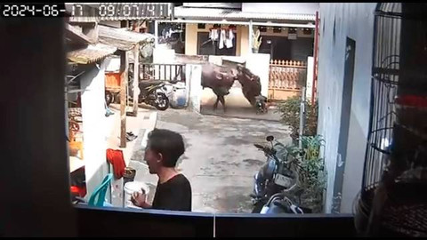 Tangkapan layar CCTV saat sapi menyeruduk motor. Dok: Instagram @dwikinugraha_