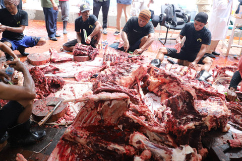 Sejumlah petugas memotong daging hewan kurban untuk didistribusikan,di halaman Masjid Istiqlal, Jakarta, Selasa (18/6/2024). Foto: Iqbal Firdaus/kumparan