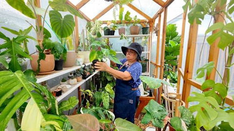 Ilustrasi apa saja tips untuk memulai wirausaha di bidang budi daya tanaman hias. Foto: Unsplash/OPPO Find X5 Pro