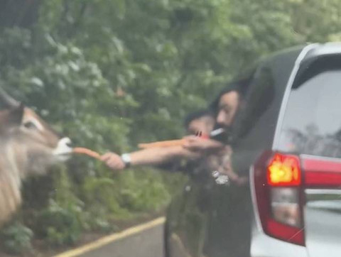 Sampah yang dilempar masuk ke mulut kuda nil. Dok: kumparan