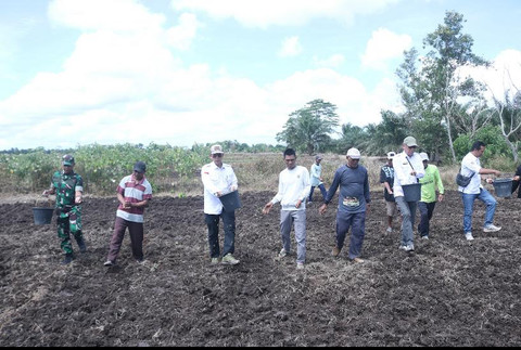 Direktur Jenderal Prasarana dan Sarana Pertanian Ali Jamil bersama petani menabur benih di area program optimasi lahan rawa di Kecamatan Air Sugihan, Kabupaten Ogan Komering Ilir (OKI), Sumatera Selatan. Foto: Dok. Istimewa