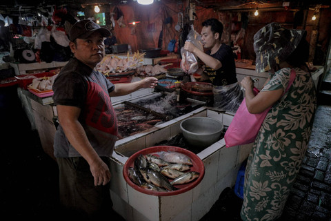 Aktivitas penjual ikan di salah satu pasar tradisional di Jakarta, Kamis (27/6/2024). Foto: Jamal Ramadhan/kumparan