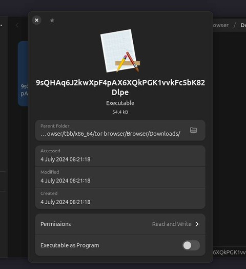 Penampakan kunci PDN yang dirilis Brain Cipher. Foto: Rizki Baiquni Pratama/kumparan