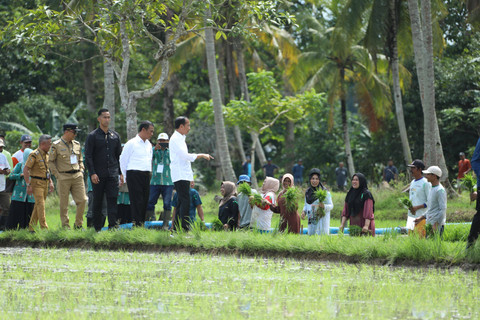 Presiden Joko Widodo bersama Mentan Andi Amran Sulaiman menyapa petani saat meninjau program pompanisasi di Desa Jaling, Kecamatan Awangpone, Kabupaten Bone, Sulawesi Selatan, Kamis (4/7/2024). Foto: Dok. Istimewa