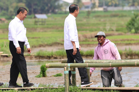 Mentan Amran Sulaiman mendampingi Presiden Jokowi bertemu para petani di Desa Jaling, Kabupaten Bone, Sulawesi Selatan (Sulsel), pada Kamis (04/7/2024). Foto: Dok. Kementan