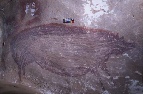 Gambar 1. Figuratif babi pada dinding gua Leang Tedongnge (sumber foto: A.A. Oktaviana, ARKENAS/Griffith University)