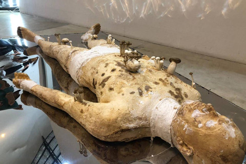 Pengunjung mengamati karya Pameran Tubuh Antroposen yang digelar di Selasar Sunaryo Art Space, Jalan Bukit Pakar Timur, Ciburial, Kecamatan Cimenyan, Bandung, Jumat (5/7/2024). Foto: Robby Bouceu/kumparan