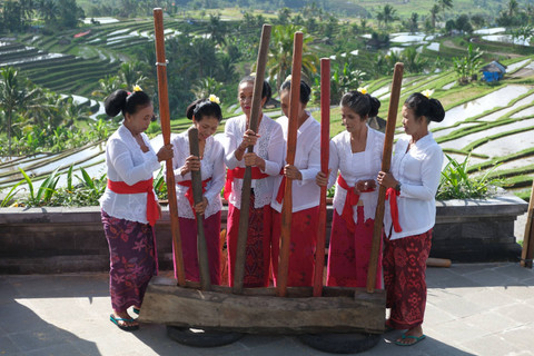 Sejumlah warga menampilkan atraksi tebuk lesung saat pembukaan Jatiluwih Festival 2024 di Daya Tarik Wisata (DTW) Jatiluwih, Tabanan, Bali, Sabtu (6/7/2024). Foto: Nyoman Hendra Wibowo/ANTARA FOTO