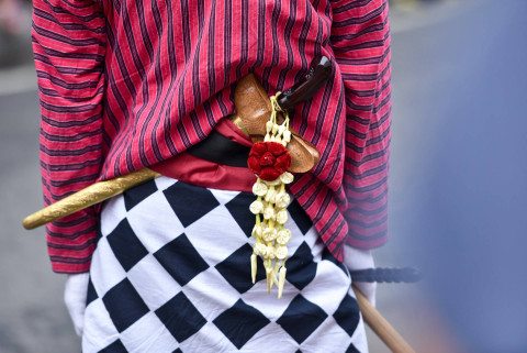 Ilustrasi Apa Itu Tulang Balung Kuning. Sumber: Unsplash/Herry Sutanto