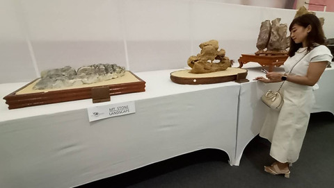 Ratusan Batu Suiseki Harga Fantastis Dipamerkan di Surabaya, Dijaga 24 Jam