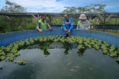 Masyarakat bisa belajar tentang budidaya ikan air tawar di Salam Kawasi . Foto: Jamal Ramadhan/kumparan