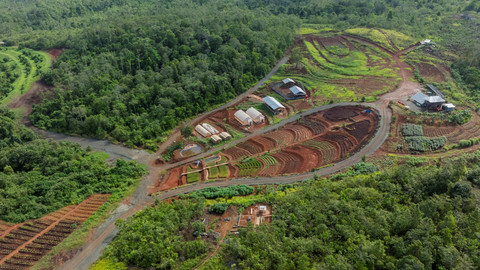 Salam Kawasi di Pulau Obi. Foto: Harita Nickel