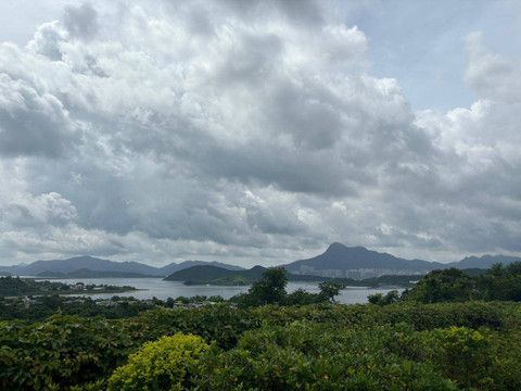 Tsz Shan Monastery, Hong Kong. Foto: Andari Novianti/kumparan