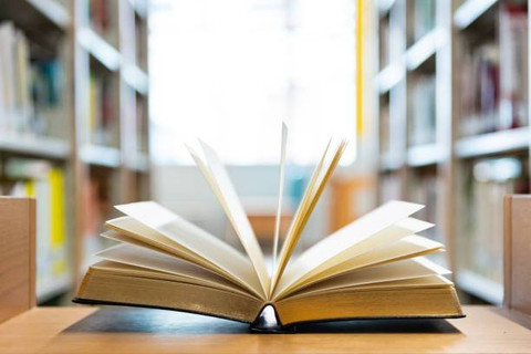 Ilustrasi Bahasa Indonesia Bab 5 Kelas 4 Kurikulum Merdeka, Foto: Unsplash/baona.