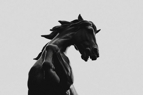 Ilustrasi Sumber: Unsplash/Irina Nakonechnaya