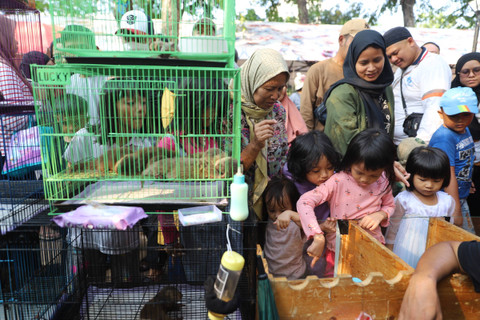 Pengunjung melihat hewan dalam Pameran Flona 2024 di Lapangan Banteng, Jakarta, Sabtu (14/7/2024). Foto: Iqbal Firdaus/kumparan
