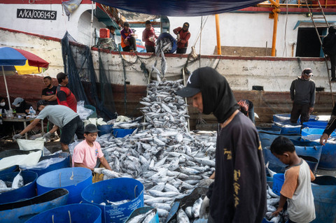 Sejumlah pekerja memindahkan ikan hasil tangkapan nelayan di Pelabuhan Perikanan Samudera Nizam Zachman, Jakarta, Senin (15/7/2024). Foto: Erlangga Bregas Prakoso/ANTARA FOTO