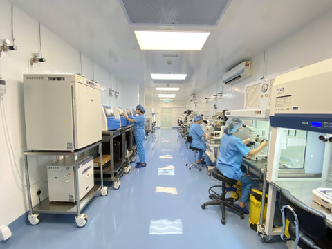  Alpha IVF Group. 