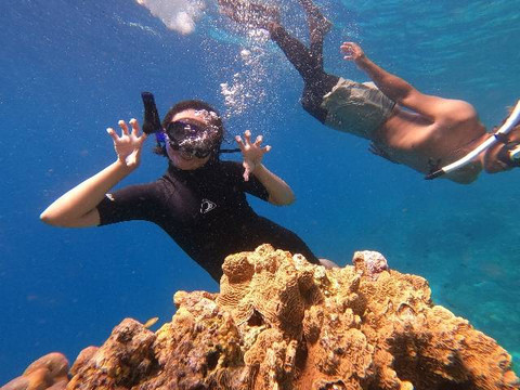 Bawah laut Bunaken (Dokumentasi pribadi)