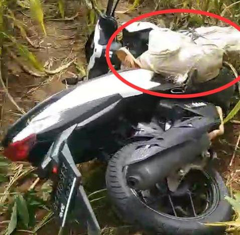 Mayat perempuan ditemukan di ladang jagung Dusun Subing Jaya, Desa Raja Basa Lama, Kecamatan Labuhan Ratu, Lampung Timur. | Foto: Dok Istimewa