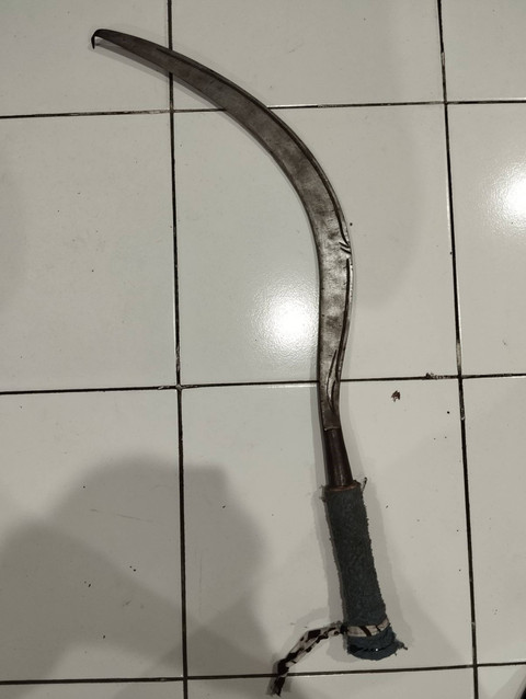 Barang bukti celurit yang sempat diacungkan seorang pemuda di Kabupaten Sleman ke anggota polisi. Foto: Dok. Polresta Sleman