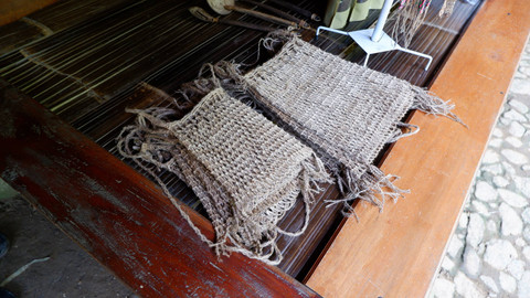 Ilustrasi Tas koja. Foto: wisely/Shutterstock