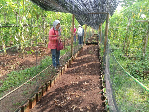 Gandeng Kampus di Surabaya, Perkebunan Ini Kembangkan Kompos Cacing