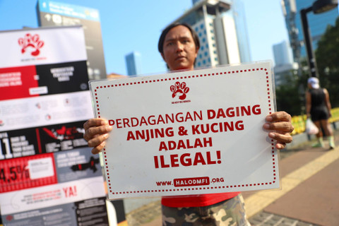 Koalisi Dog Meat Free Indonesia (DMFI) menggelar sosialisasi pelarangan mengonsumsi daging anjing dan kucing di kawasan Car Free Day, Jakarta, Minggu (4/8/2024). Foto: Iqbal Firdaus/kumparan
