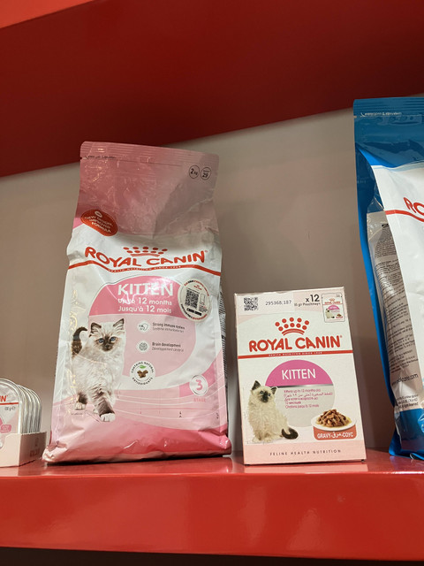Kantor Royal Canin, Pondok Indah Office Tower 3, Jakarta Selatan, Jumat (19/7/2024). Foto: Ema Fitriyani/kumparan