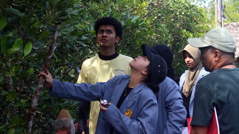 Pelaksanaan identifikasi jenis Mangrove yang dilakukan Tim Program Penguatan Kapasitas Organisasi Kemahasiswaan (PPKO) Hirosi dari Jurusan , Fakultas Matematika dan Ilmu Pengetahuan Alam (FMIPA) Universitas Sam Ratulangi (Unsrat) , di Ekowisata JG Mangrove Park.