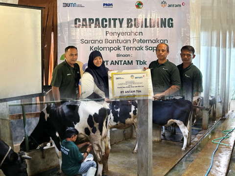 PT ANTAM menyerahkan sarana bantuan peternakan kelompok sapi perah Cipeusing Mandiri dan Sugih Mukti di Cimahi Utara yang mendapat pelatihan Capacity Building PNM. Foto: Dok. PNS