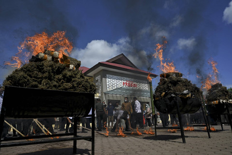Polisi membakar 1,2 ton ganja dan 226 kilogram sabu yang disita di markas besar kepolisian daerah di Banda Aceh, Selasa (6/8/2024). Foto: Chaideer Mahyuddin/AFP