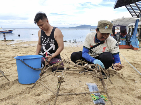 Petugas Balai Taman Nasional Bunaken dan mahasiswa KKN UGM menanam transplantasi terumbu karang dengan metode jaring laba-laba atau spider, Sabtu (10/8/2024). Foto: Arfiansyah Panji Purnandaru/kumparan