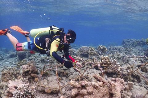 Petugas Balai Taman Nasional Bunaken menyelam untuk tanam transplantasi terumbu karang. Foto: Dok. Balai Taman Nasional Bunaken
