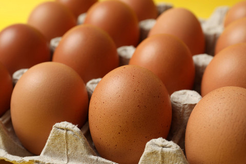 Ilustrasi menyimpan telur dalam posisi yang benar. Foto: Shutterstock