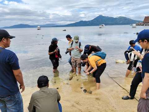 Suasana pelepasan tukik di Pulau Bunaken oleh mahasiswa KKN-PPM UGM, pada 9 Agustus. Foto: Arfiansyah Panji/kumparan