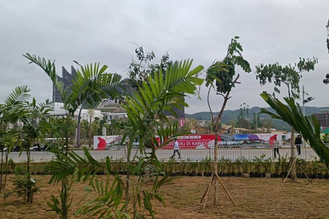 Istana Garuda IKN terlihat dari kejauhan, Sabtu (17/8/2024). Foto: Zamachsyari/kumparan